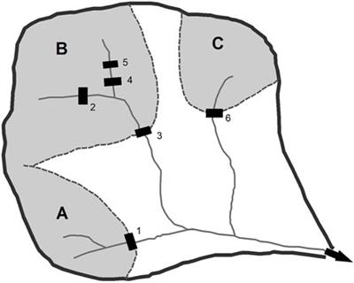 Comparison of process-based and lumped parameter models for projecting future changes in fluvial sediment supply to the coast